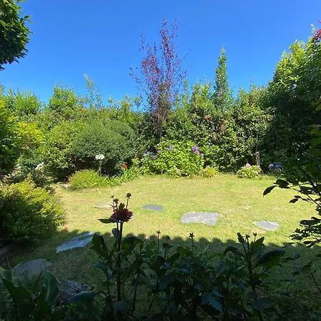 Daire Pineiro A Coruña